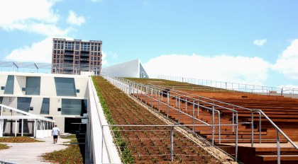 An image of the BBVA Compass Roof Garden, a sloping, walkable green roof offering dramatic views of the Sarofim campus